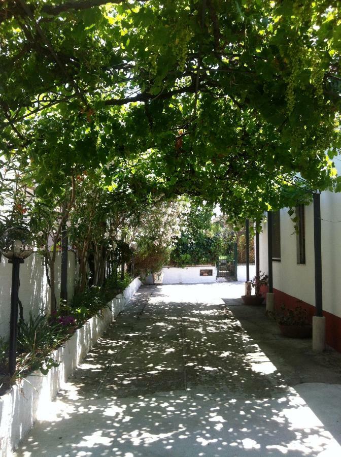 Casa Vacanze Paestum - Cilento Exterior foto